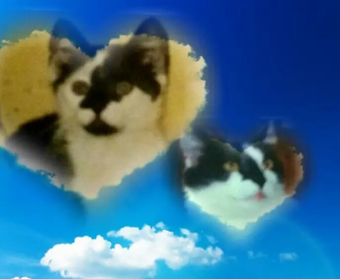 Condolence image of Snoopy❤Pünktchen