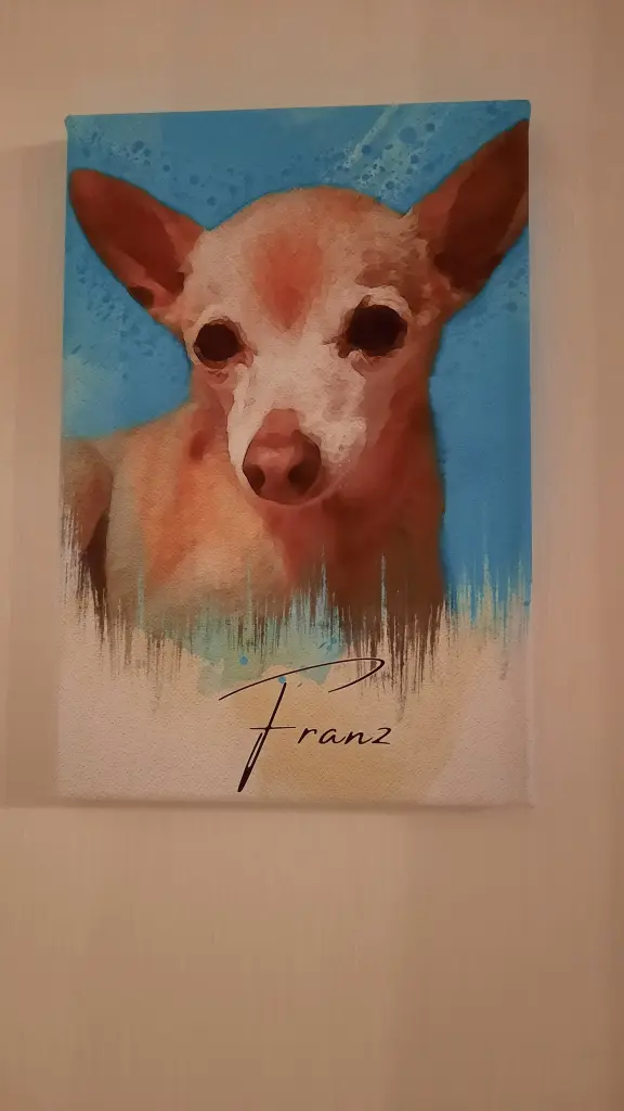 Image from Franz