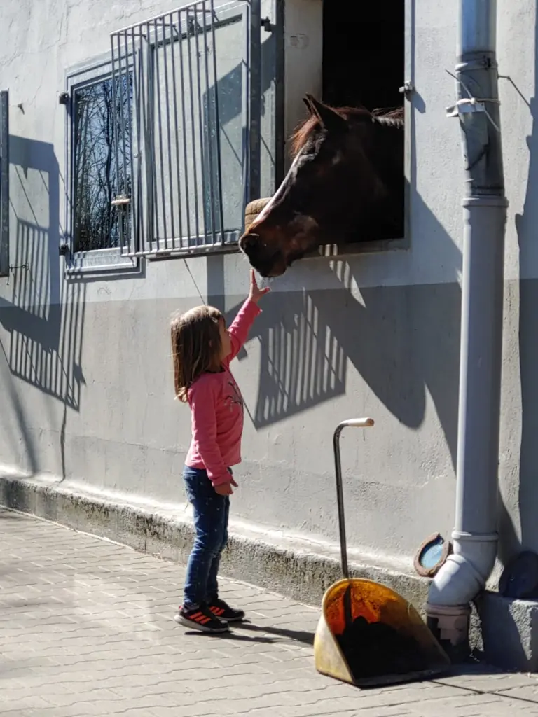 Condolence image of Claudia