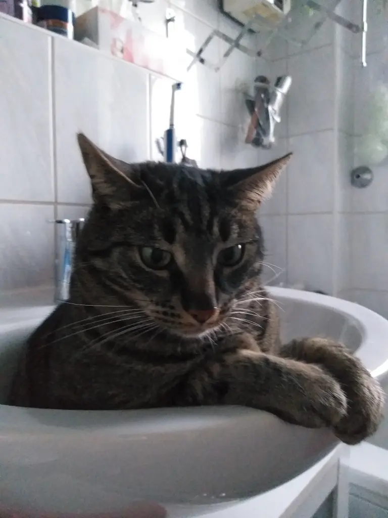 Image from Balu