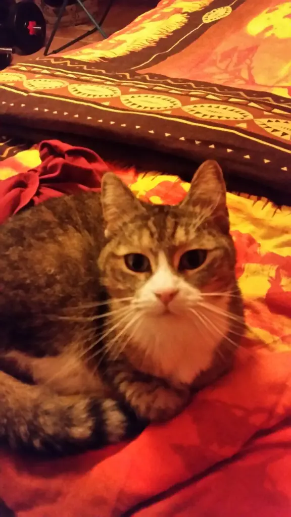 Andachtsbild von Waldemar mit Mausi im Herzen