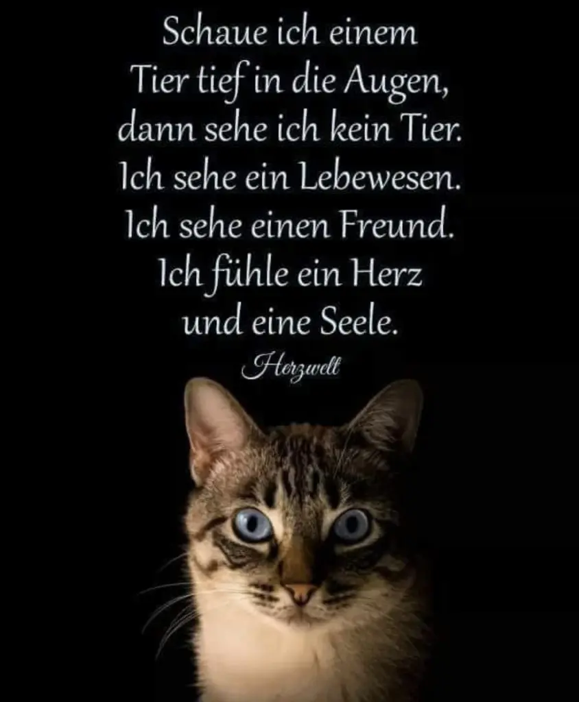 Andachtsbild von An Missy und Jeannette