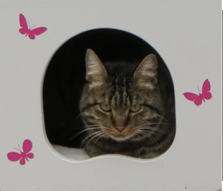 Andachtsbild von Ravi und Zausel mit Carmen 