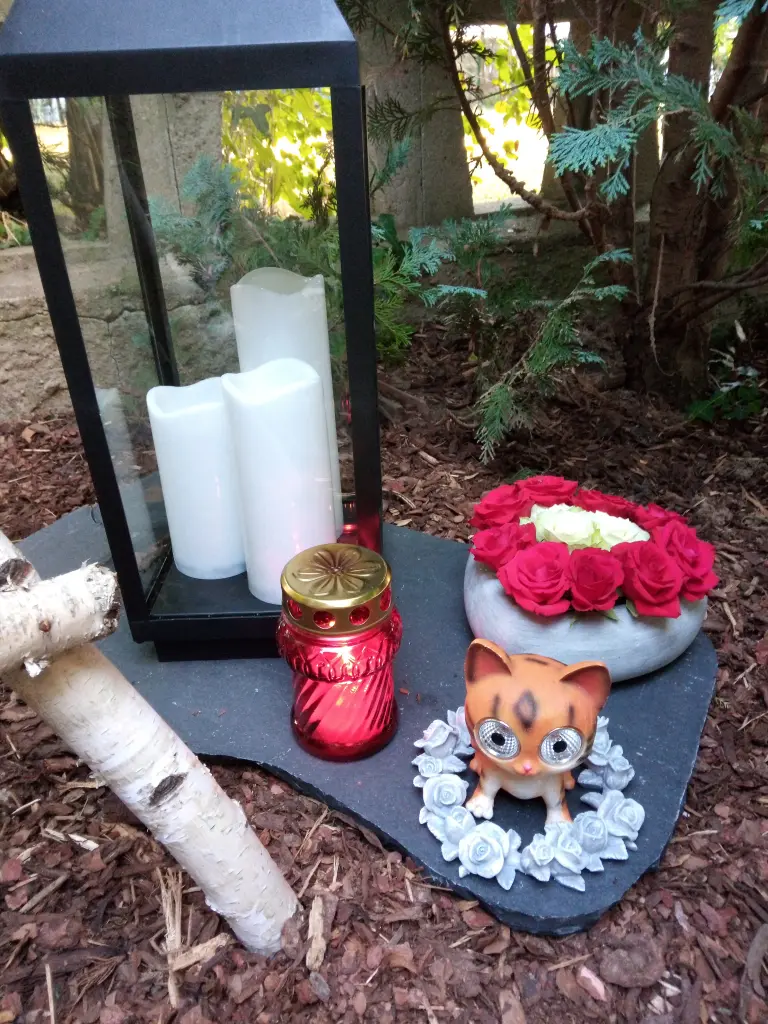 Andachtsbild von Für unser kleines Sternchen Missy♥️