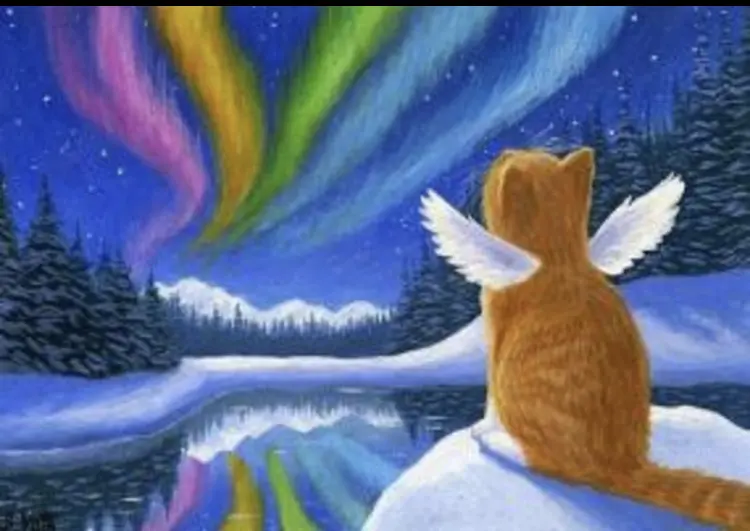 Andachtsbild von Carmen mit den Sternchen Ravi und Zausel