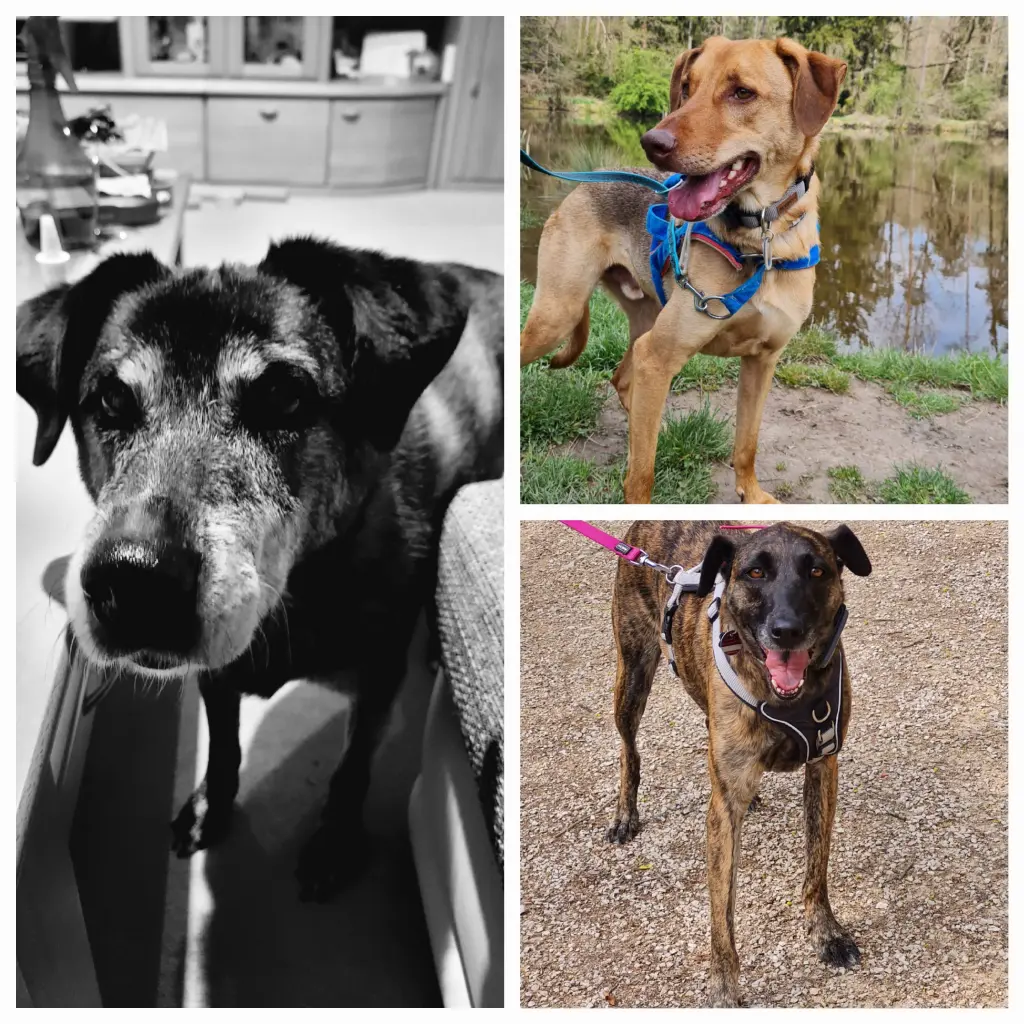 Andachtsbild von Gabi mit Max ❣️