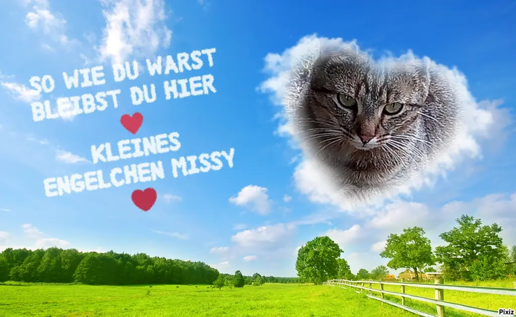 Andachtsbild von Für unsere kleine Maus Missy♥️