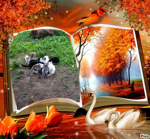 Andachtsbild von Für meine kleine Maus Missy❤️