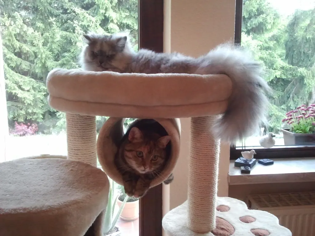 Andachtsbild von Daniela mit Pauline im ♥️ (+27.05.2021)