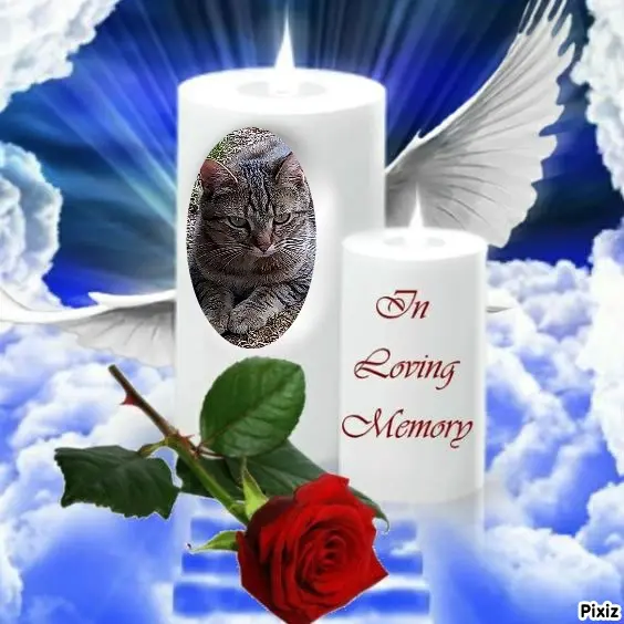 Andachtsbild von Für meine kleine Maus Missy❤️