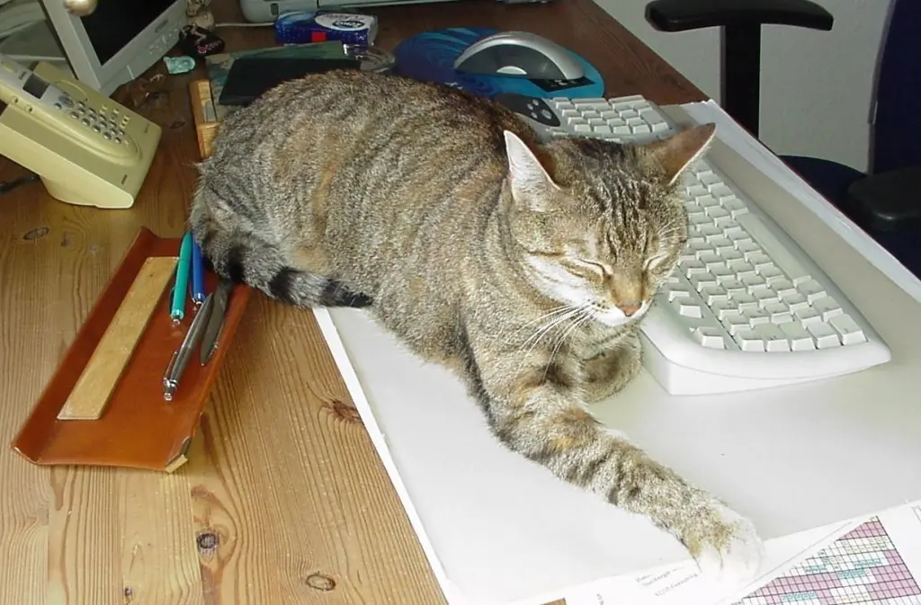 Andachtsbild von Marple