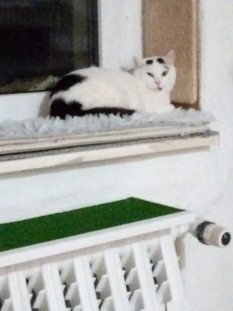 Andachtsbild von Für Dich meine Kleine ♥️