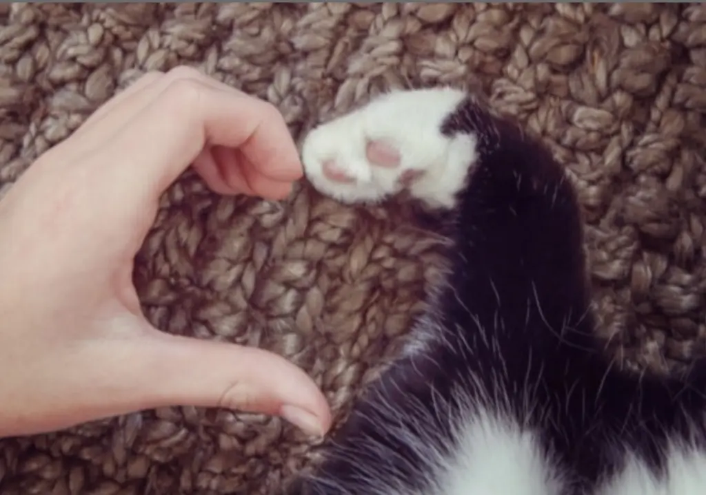 Andachtsbild von Von Mama Sonja