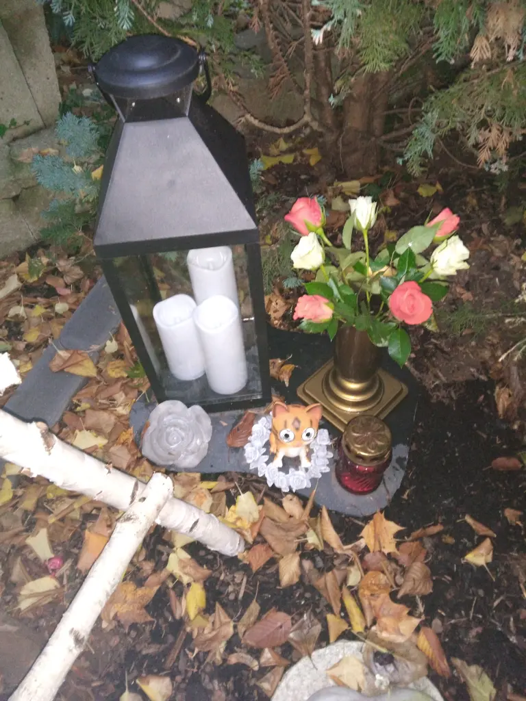 Andachtsbild von Schau Mal meine Missy❤️