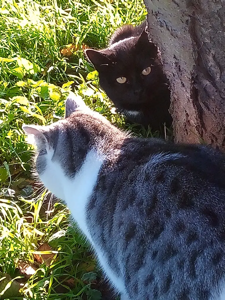 Andachtsbild von Für unser kleines Engelchen Missy ❤️