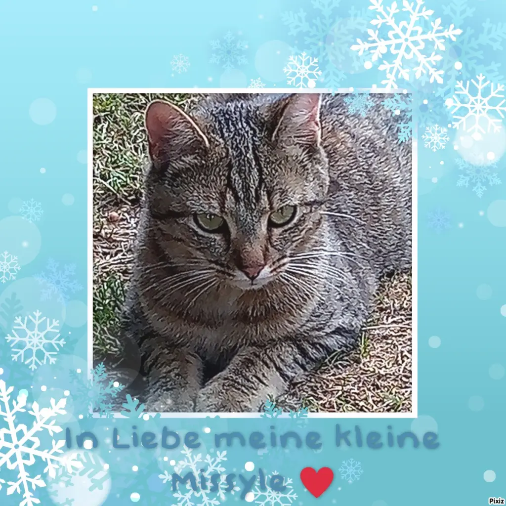 Andachtsbild von Für Dich meine liebe kleine Missy ♥️