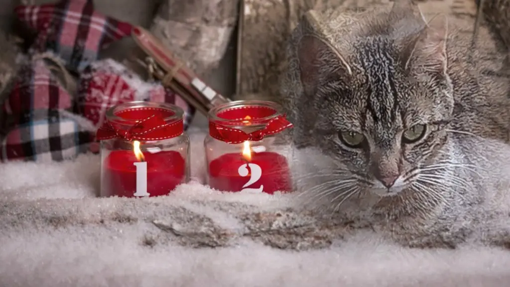 Andachtsbild von Andrea mit Minki im ♥️