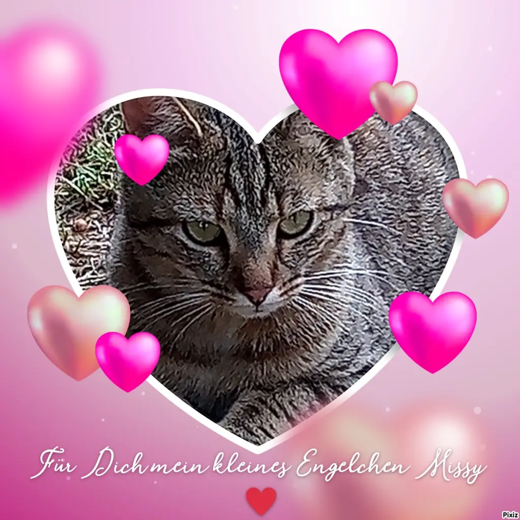 Andachtsbild von Für meinen kleinen Schatz Missy ♥️