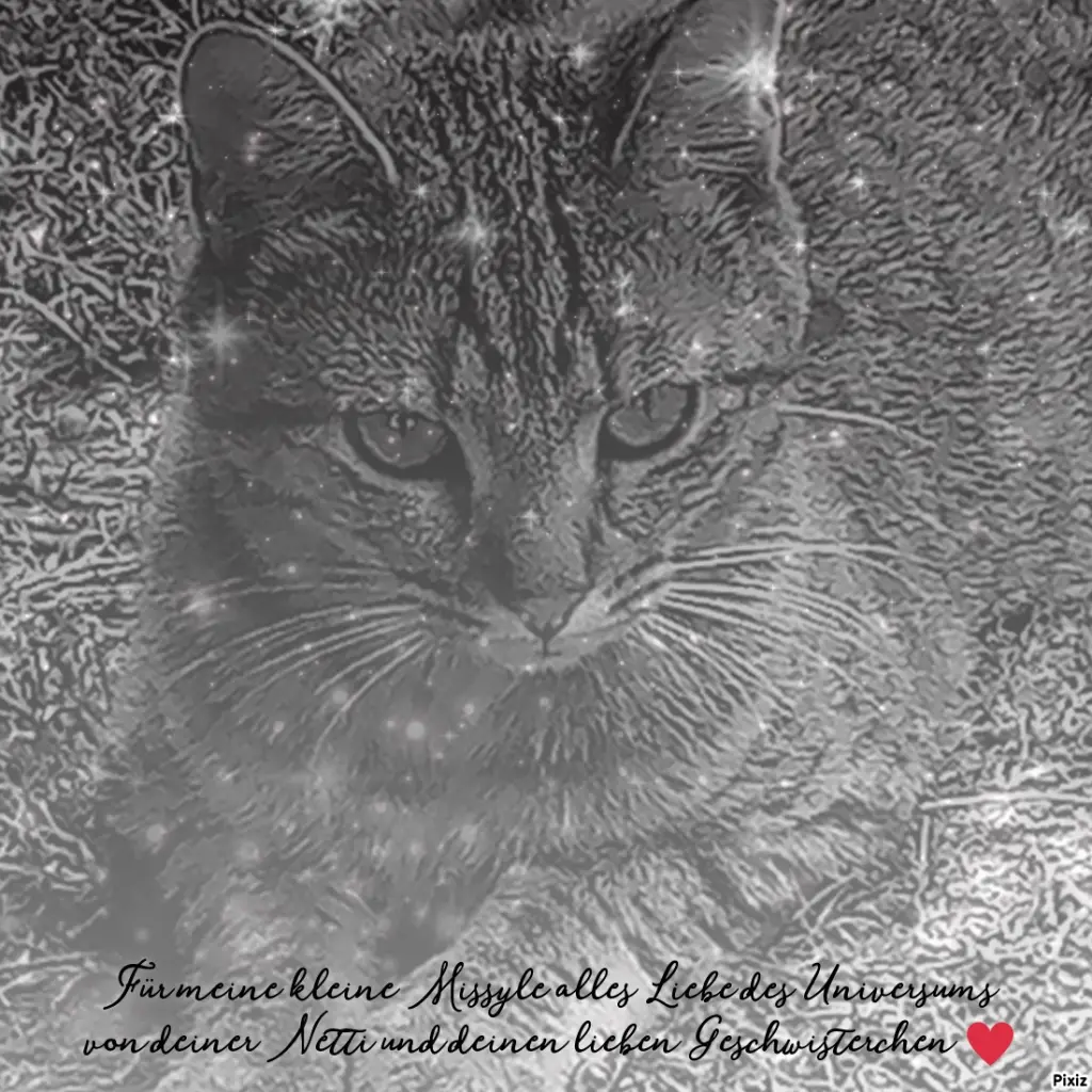 Andachtsbild von Für Dich mein kleines Missyle ♥️