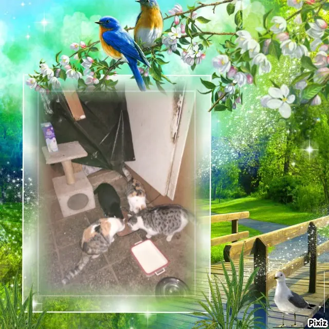 Andachtsbild von Für Dich meine kleine liebe Missyle ♥️