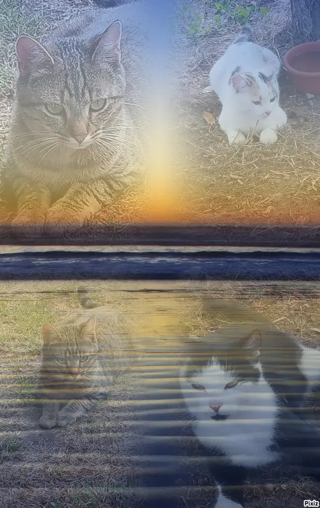 Andachtsbild von Für unsere kleine Missyle ♥️