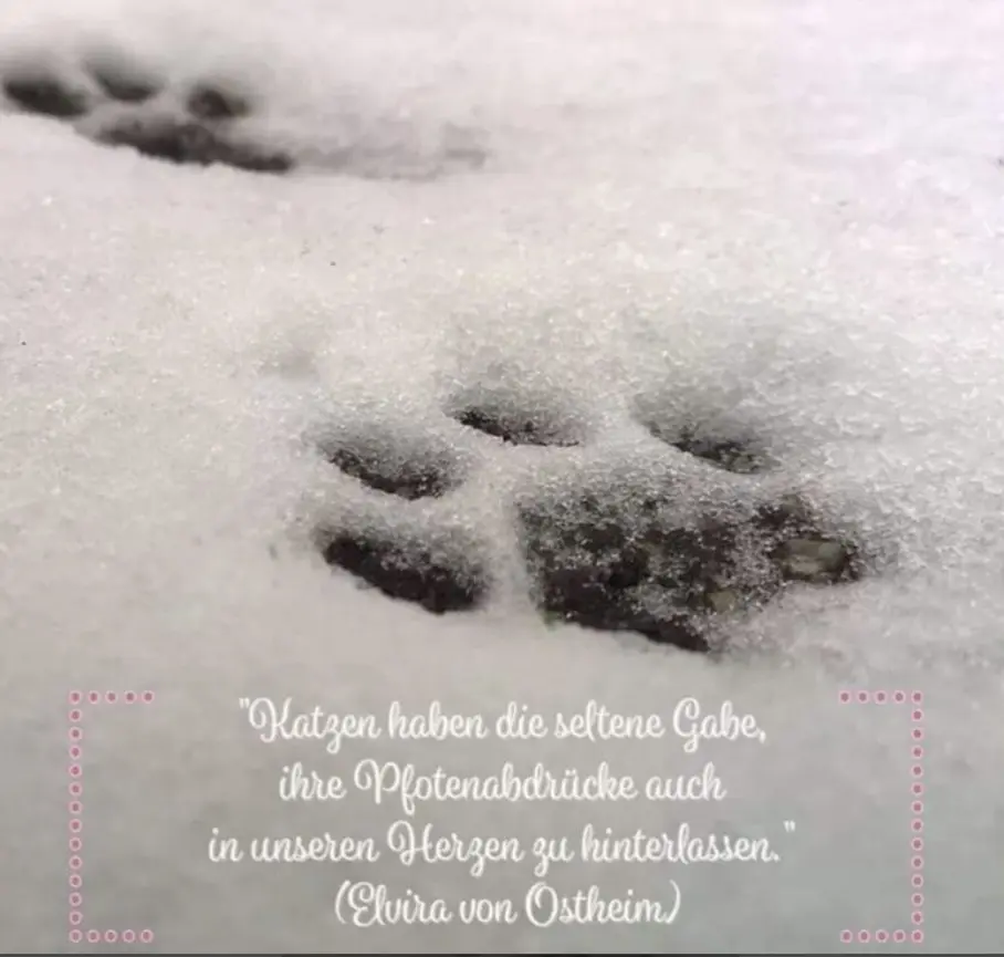 Andachtsbild von An Missy 