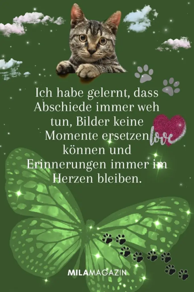 Andachtsbild von Für unsere kleine Maus Missy♥️