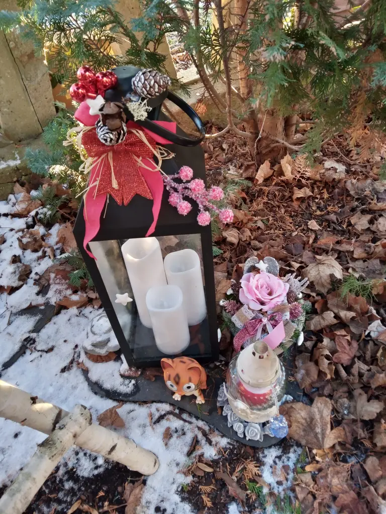 Andachtsbild von Für Dich meine kleine liebe Missyle ♥️