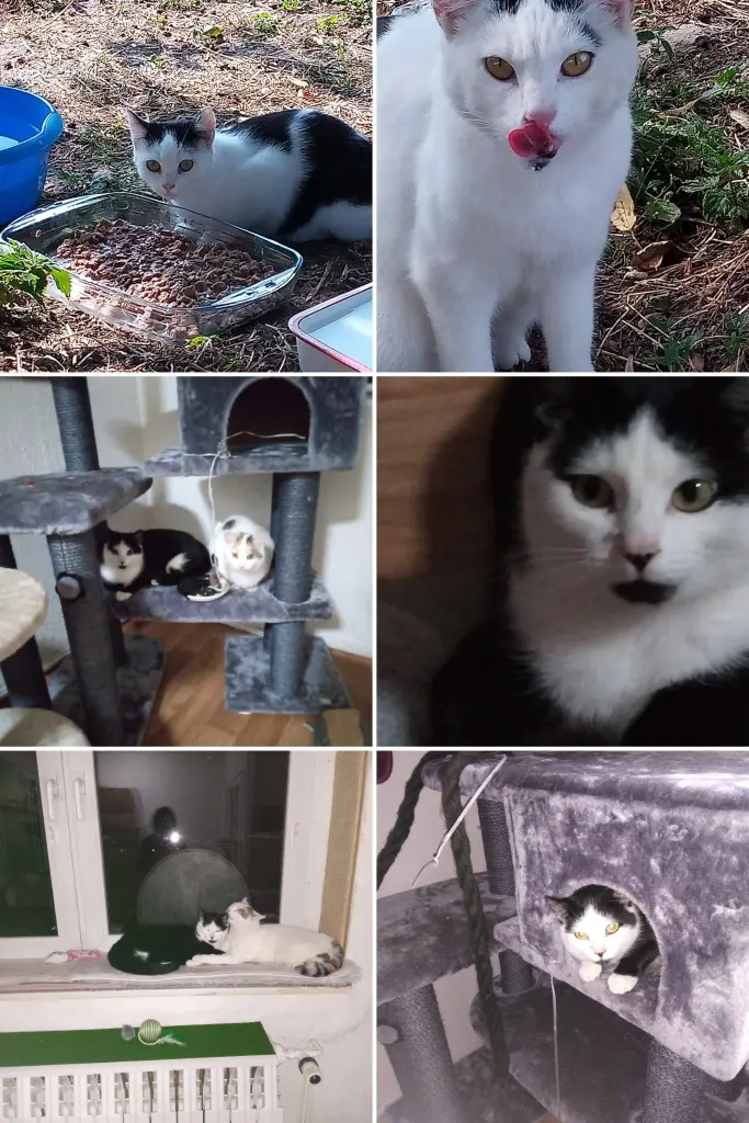 Andachtsbild von Für Dich mein kleiner Schatz Missy ❤️