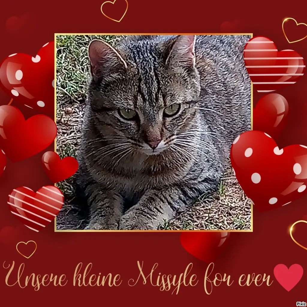 Andachtsbild von Für unser kleines Engelchen Missy ❤️