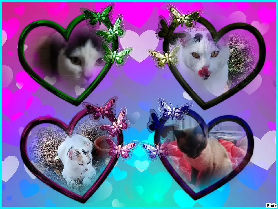 Andachtsbild von Für Dich mein kleines Missyle ♥️