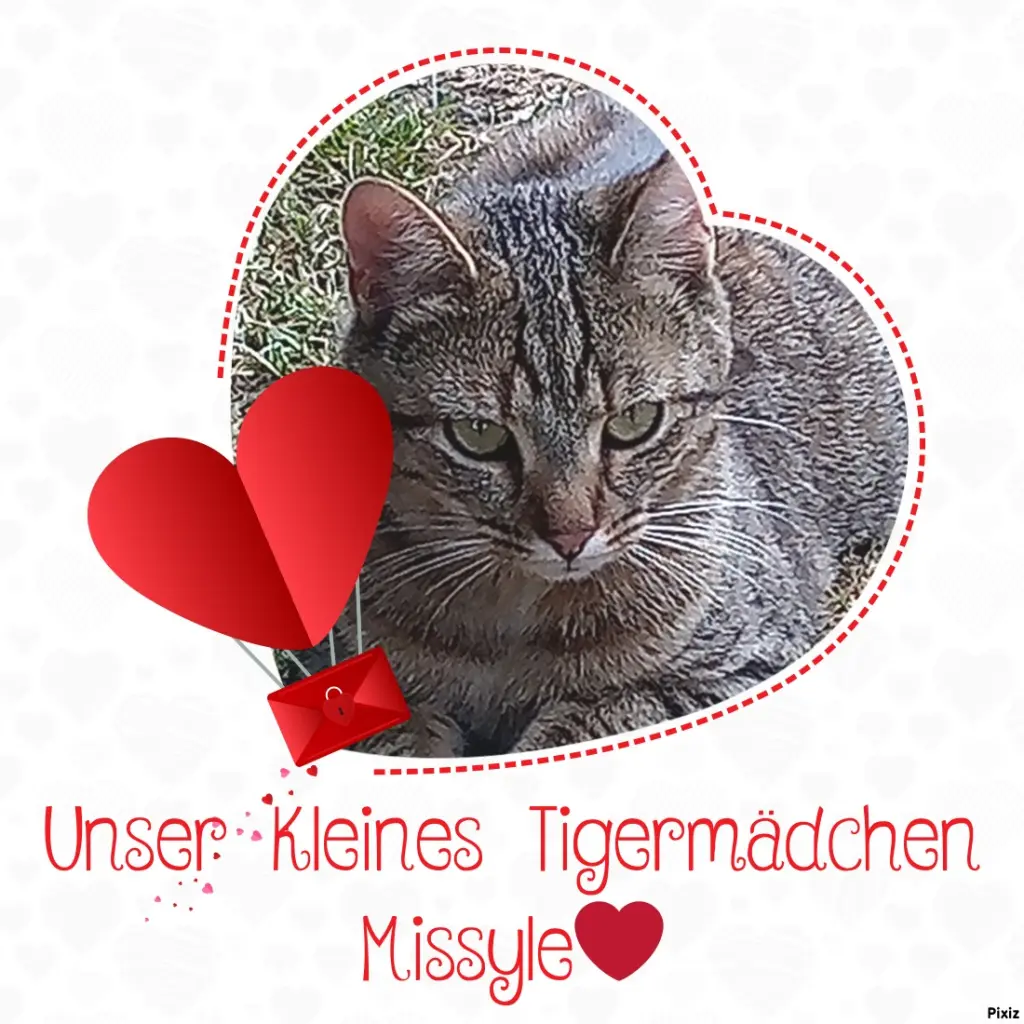 Andachtsbild von Für Dich mein kleines Engelchen Missyle ❤️