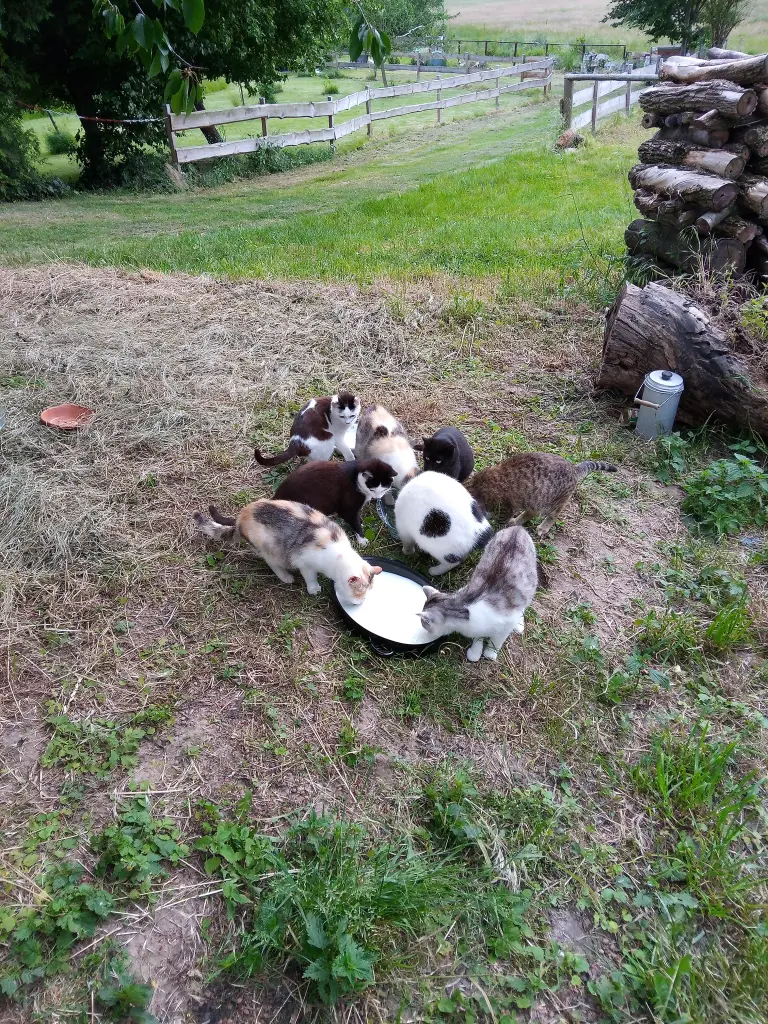 Andachtsbild von Für Dich meine kleine Missy❤️