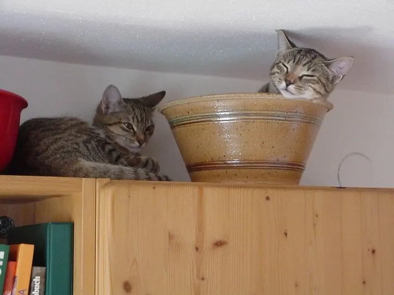 Andachtsbild von von Marple und Christie