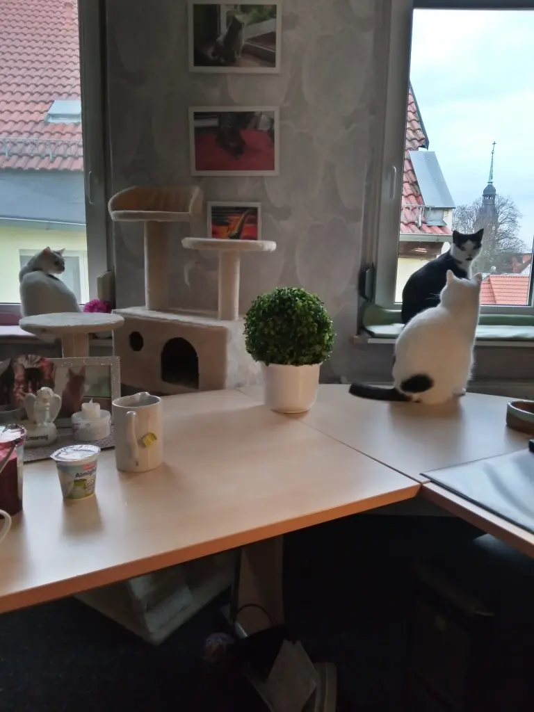 Andachtsbild von Für Dich meine süße Missyle ❤️