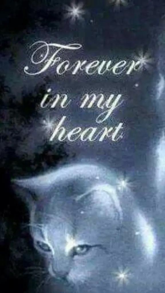 Andachtsbild von Für unser kleines Missykind ♥️