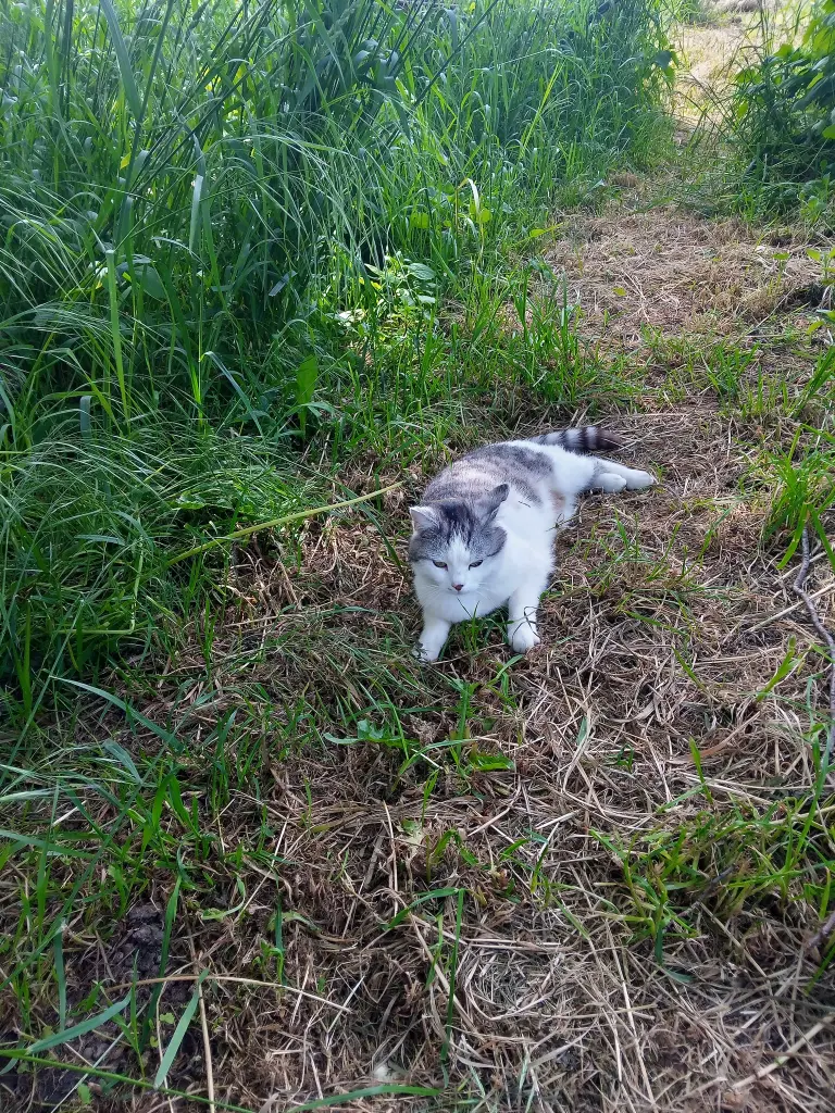 Andachtsbild von Für Dich meine kleine Maus Missy❤️