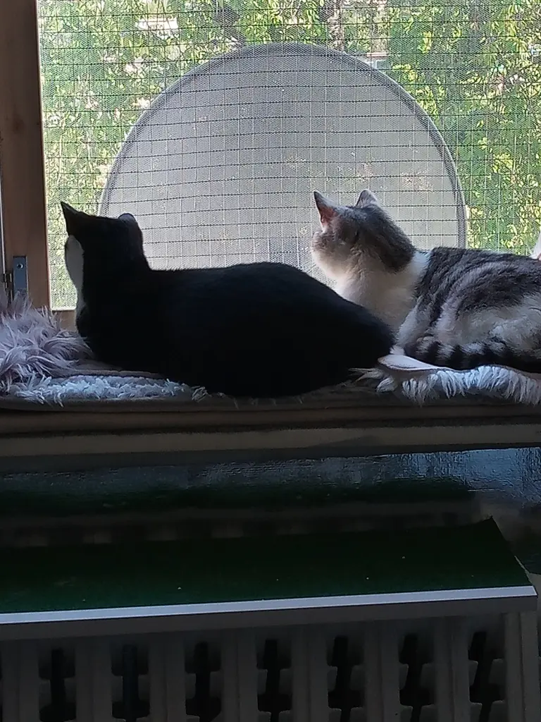 Andachtsbild von Für Dich meine kleine Missy❤️