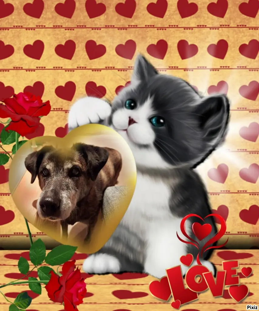 Andachtsbild von Gabi mit Max ❣️