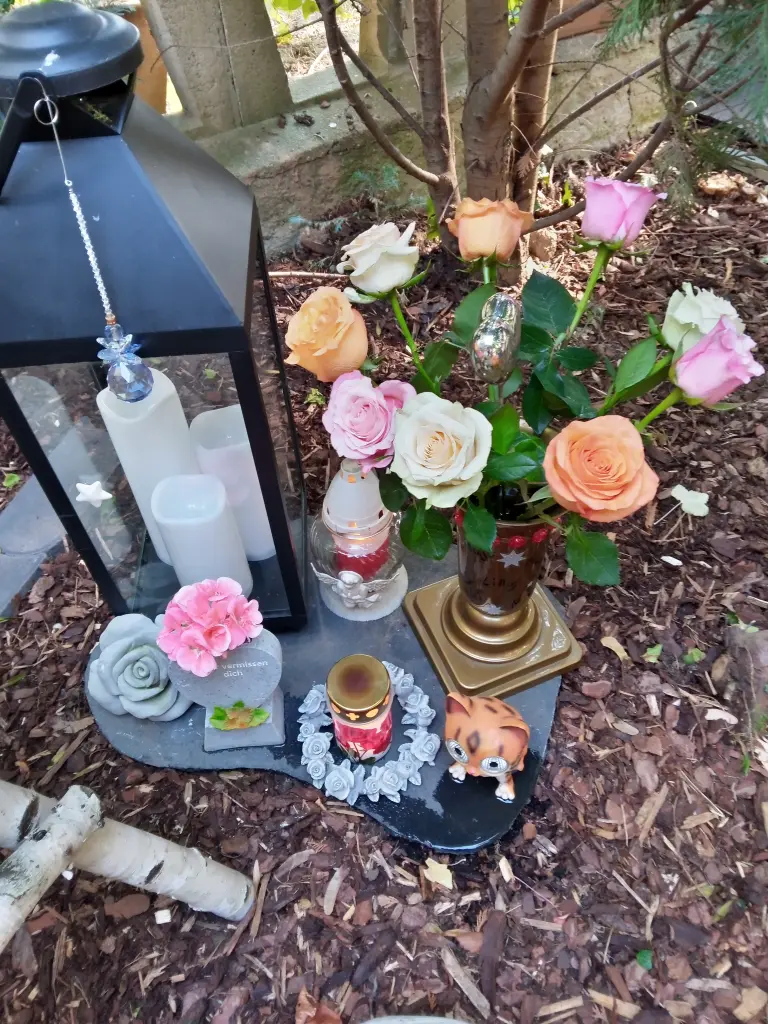 Andachtsbild von Für Dich meine kleine Missy... geliebt -gehofft-verloren❤️