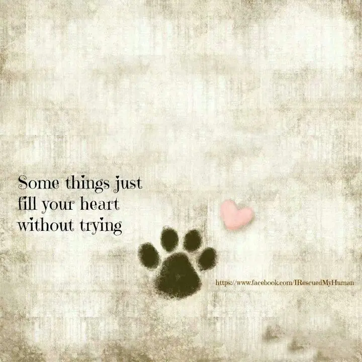 Andachtsbild von Für Dich mein kleiner Schatz Missyle ❤️