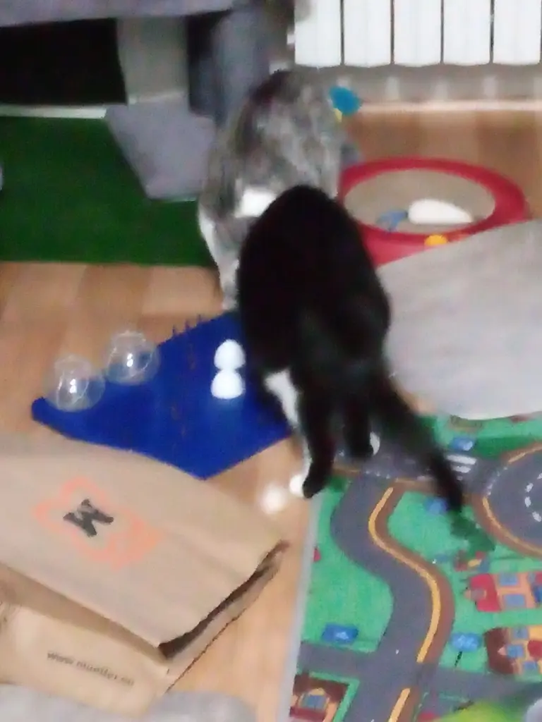 Andachtsbild von Für Dich mein kleines Tigerchen ♥️