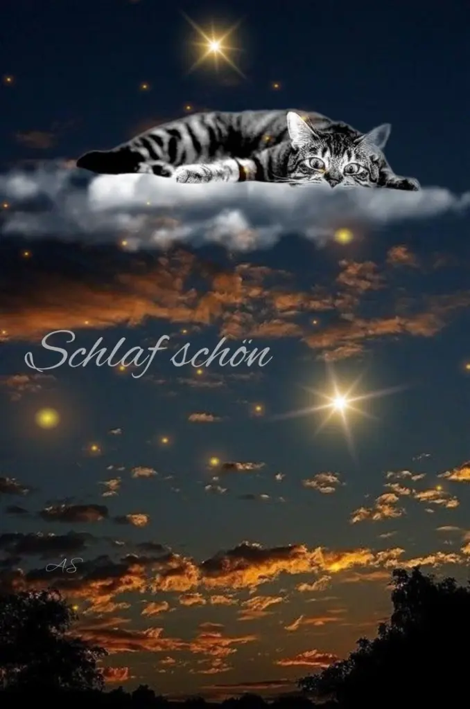 Andachtsbild von Für Dich mein kleines Missyle ♥️