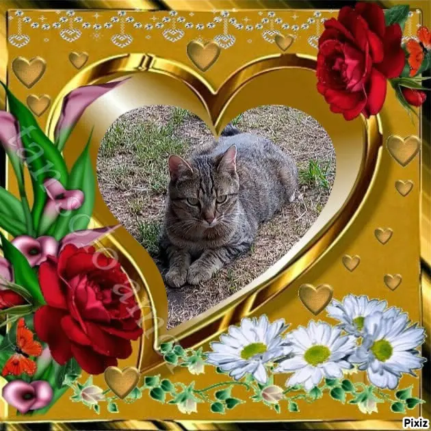 Andachtsbild von Für Dich mein kleiner Schatz Missy ❤️