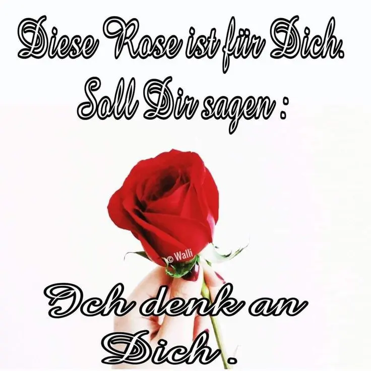 Andachtsbild von Für Dich mein lieber kleiner Schatz Missy❤️