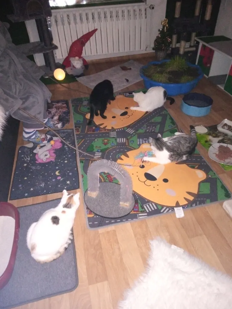 Andachtsbild von Für Dich mein kleiner Schatz Missy ❤️