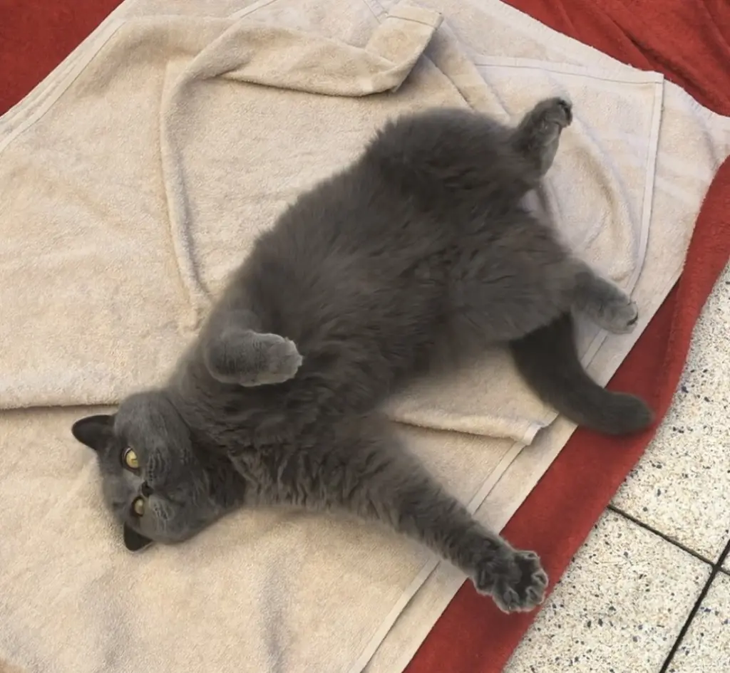 Andachtsbild von An Missy