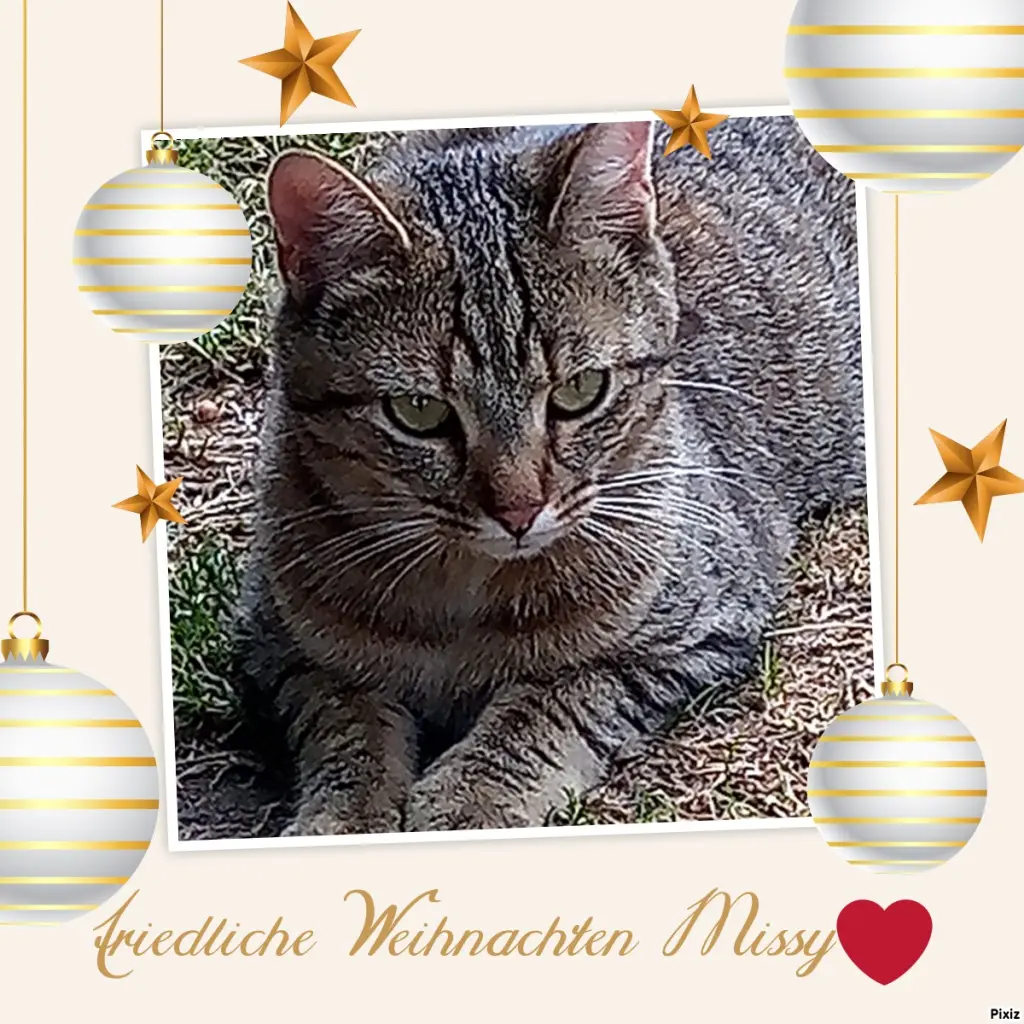 Andachtsbild von Für Dich mein kleiner Schatz Missy ❤️