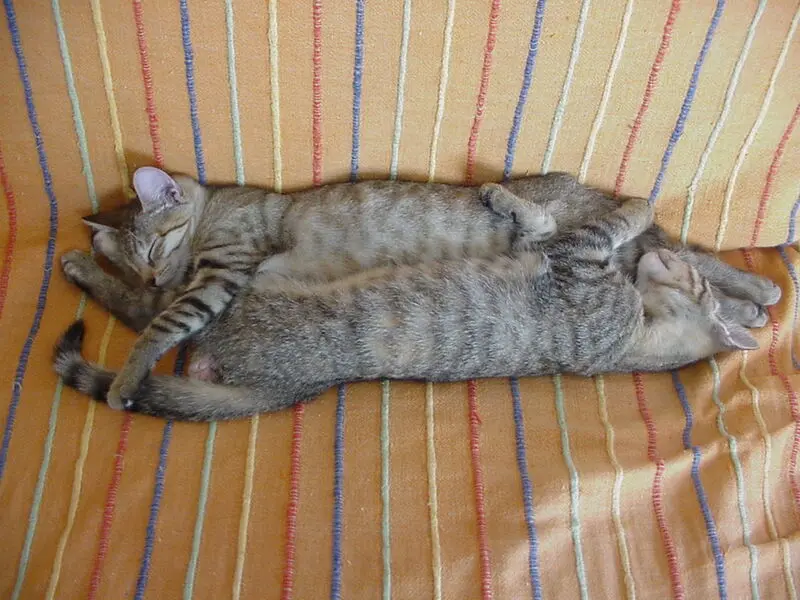 Andachtsbild von für Missy ♥