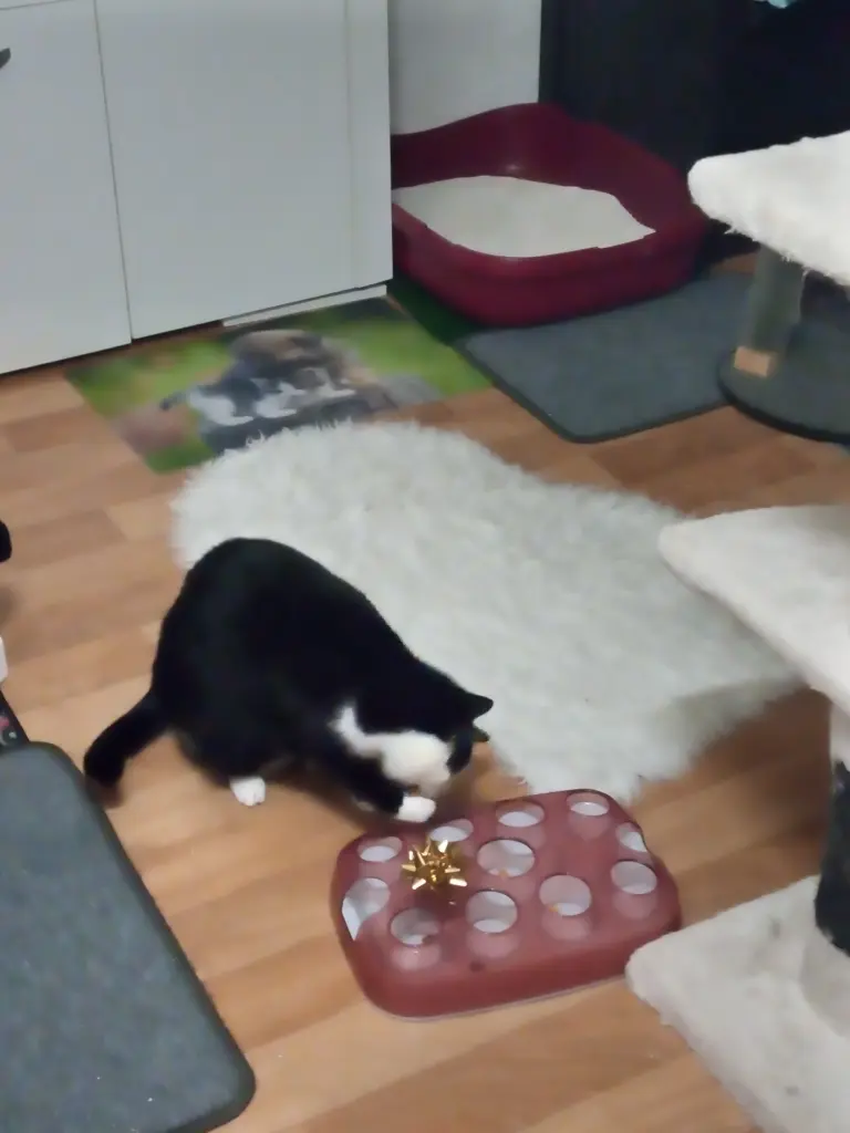 Andachtsbild von Für Dich meine kleine Missyle ♥️